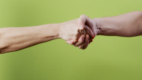 A female and a male shaking hands close