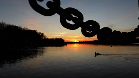 el ganso solitario de canadá nada a través de la luz del atardecer que se refleja en la superficie lisa del agua con una cadena en primer plano