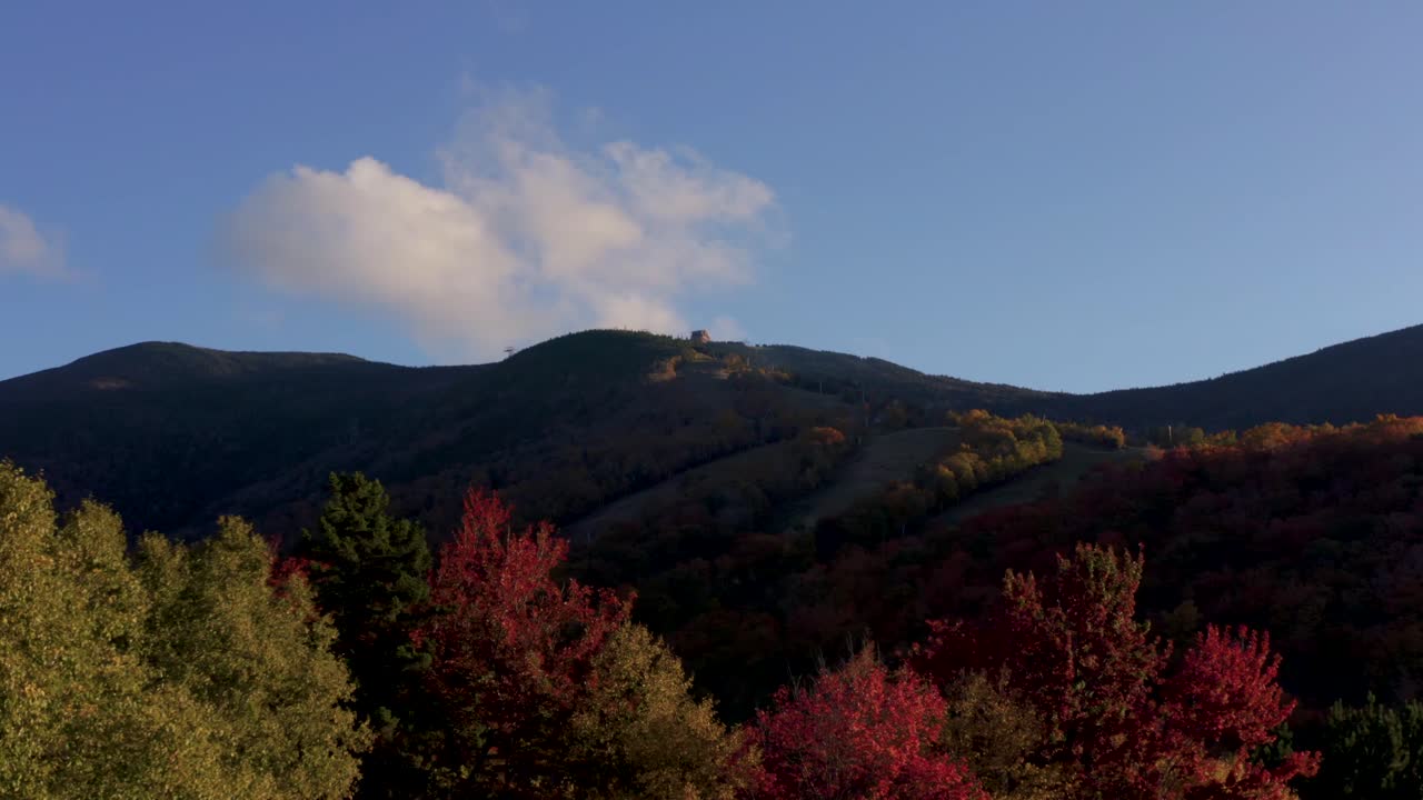 Amazing red gold and yellow leaves looking up at ski mountain summit (4k30p)