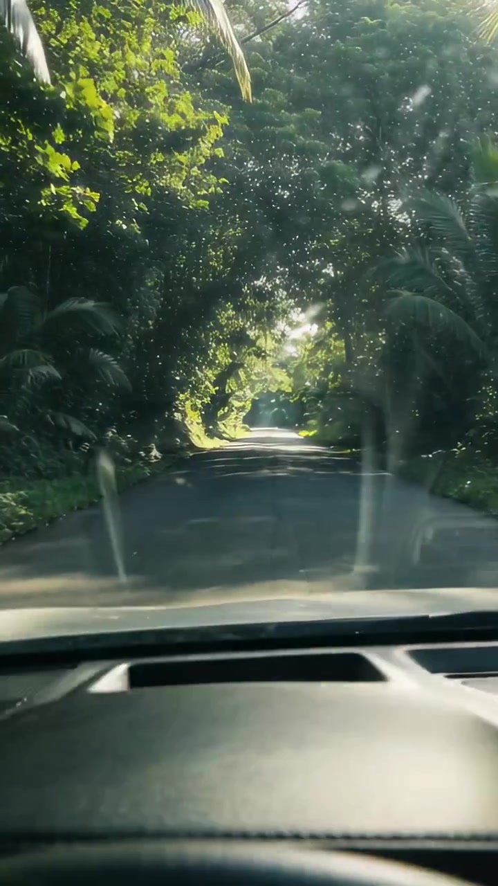 Cruscotto del veicolo che mostra la vista dal parabrezza di una strada a due corsie con doppie linee gialle che svaniscono nella nebbia.