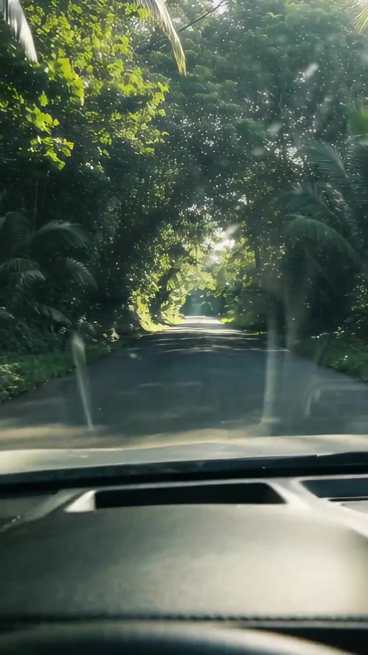 Cruscotto del veicolo che mostra la vista dal parabrezza di una strada a due corsie con doppie linee gialle che svaniscono nella nebbia.