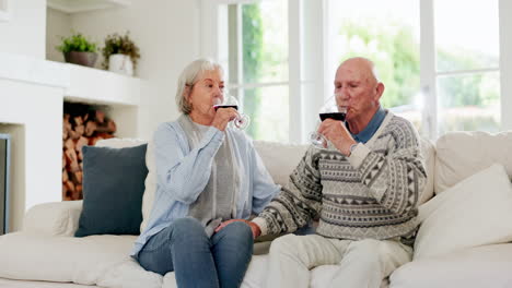 Feliz,-Aplausos-Y-Pareja-De-Ancianos-Con-Vino.