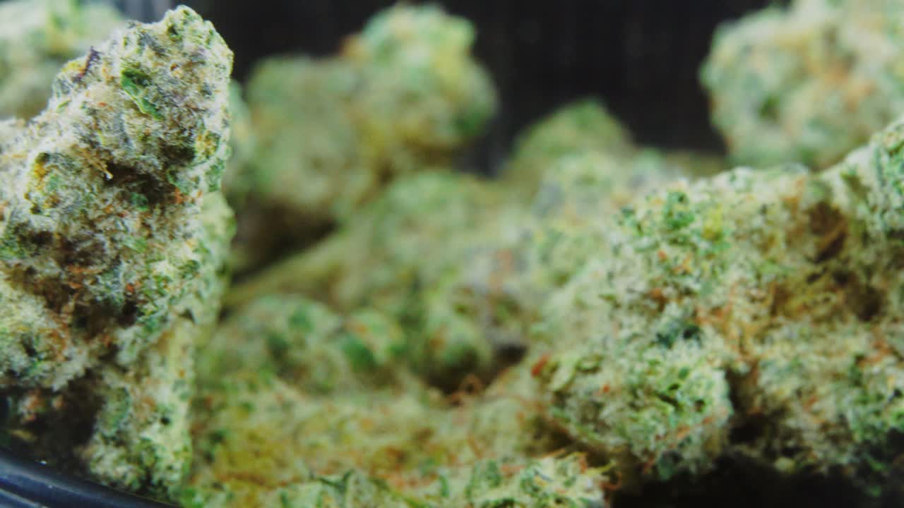 매크로 녹색 말린 마리화나 새싹은 개념 샷을 닫고 말린 마리화나 식물 더미, 주황색 트리코메스 균주, 작은 검은색 빛나는 외침, 회전 스탠드, 스튜디오 조명, 느린 동작, 4k 비디오