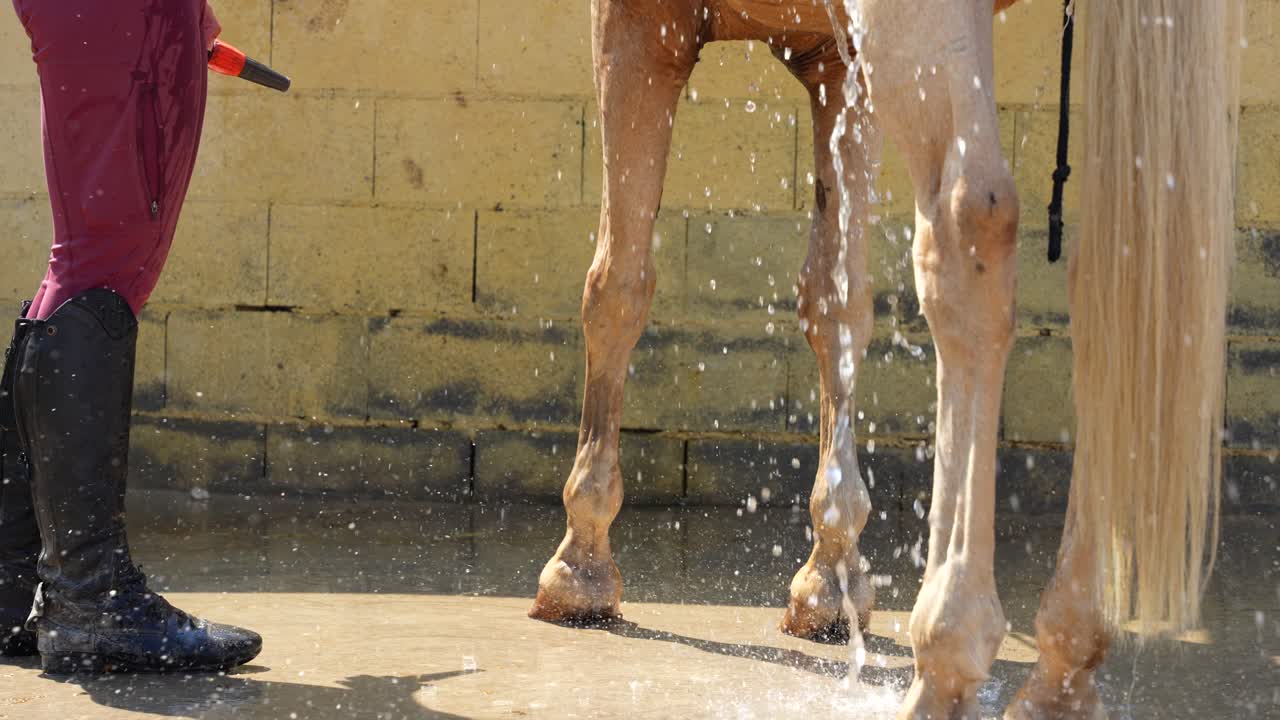 Primo piano sulle gambe del cavaliere e del cavallo con acqua che gocciola mentre il lavaggio continua nella stalla