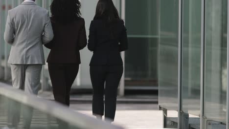 back view of three people wearing suits strolling near building