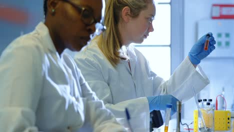 two female scientists experimenting in laboratory 4k