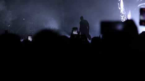 night performance: talented singer and band commanding a brightly lit stage, engaging with a thrilled crowd of fans