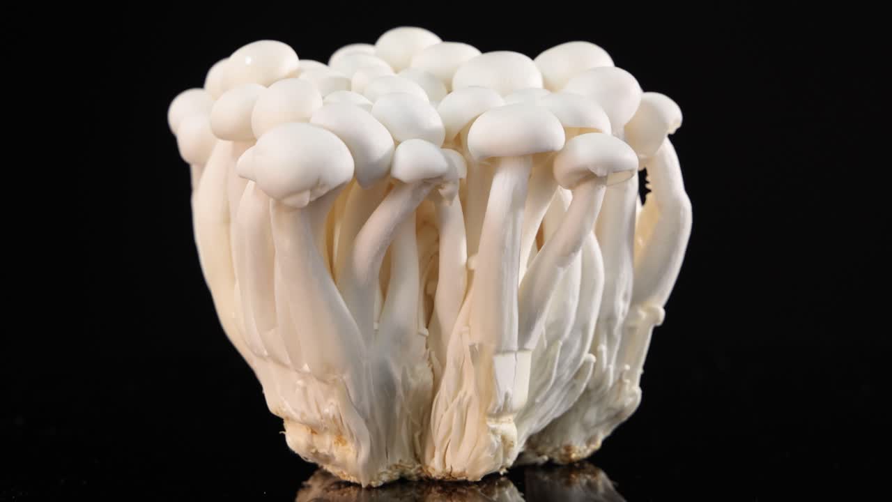 Cluster of white shimeji mushrooms slowly spins on a glossy black surface under studio lighting, highlighting texture and form with smooth camera movement