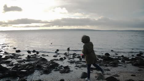 black labrador and owner playing fetch at beach, slow motion, behind view