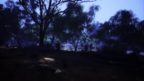 mysterious twilight envelops an enchanting forest with shadows and light