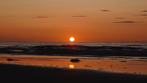 Man-running-with-guitar-in-back-sand-beach-at-sunset