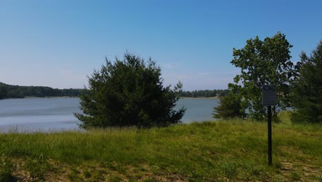 Maneuvering-through-a-couple-trees-in-summer