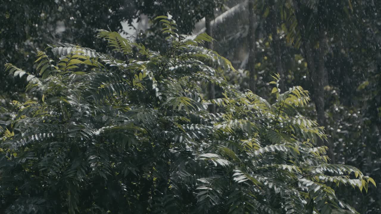 Heavy rains are occurring during the rainy season due to the arrival of monsoon winds