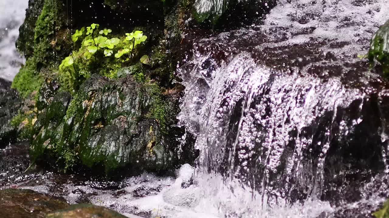 Water cascading over mossy rocks