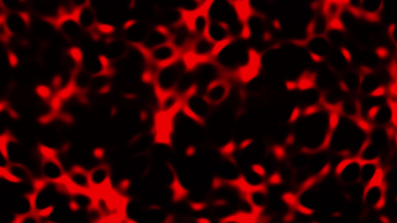 빨간색 격동 용암 패턴의 시레이션