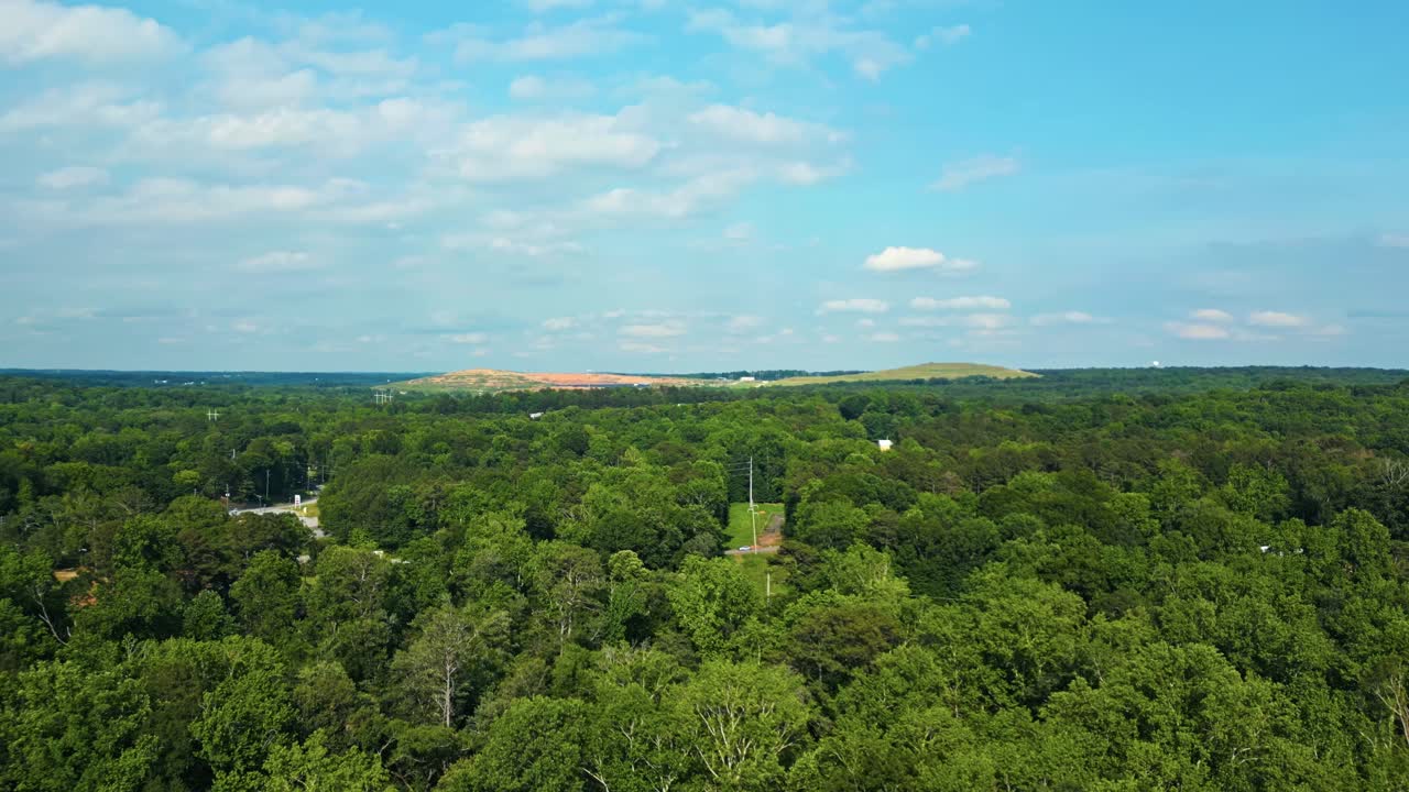 Lush Green Forest Canopy In Summer - Drone Shot
