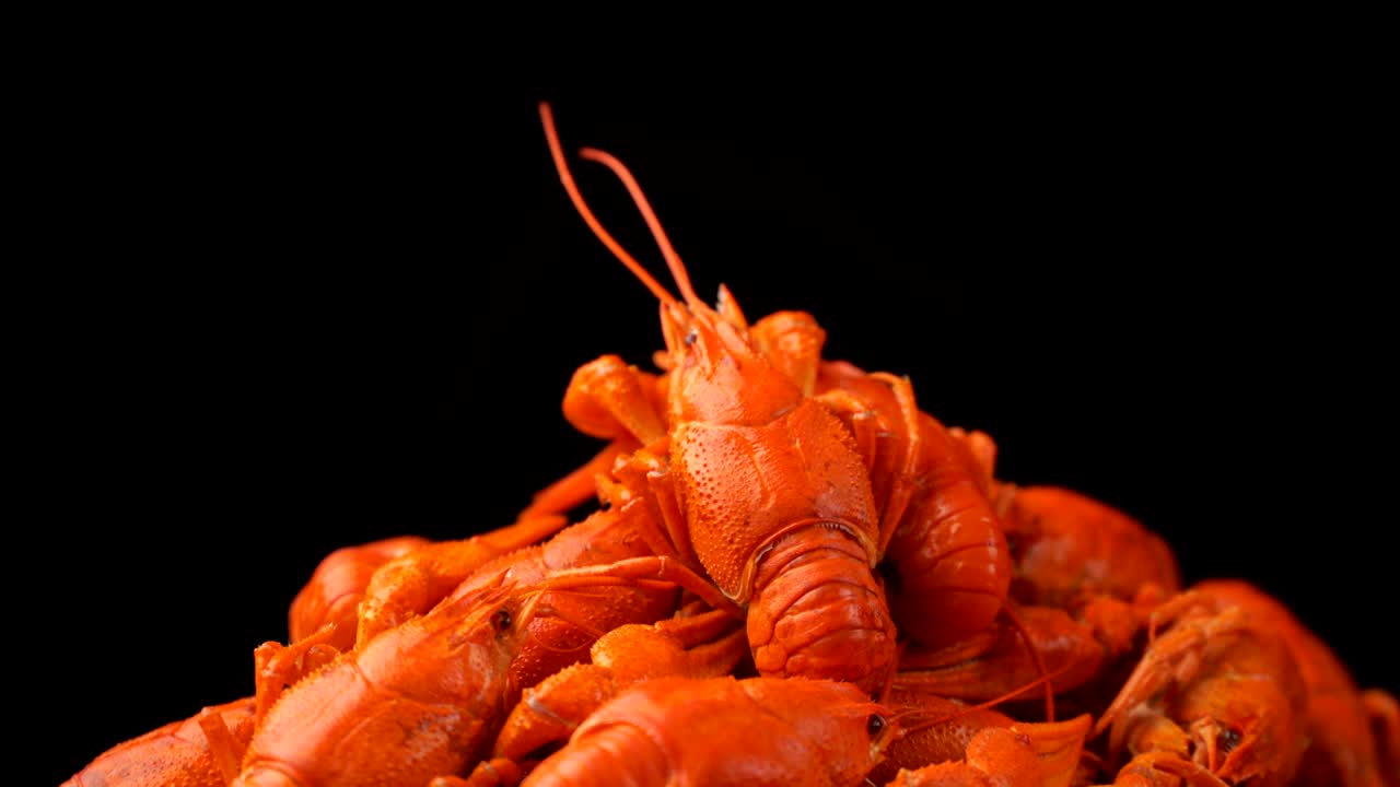 imágenes de cangrejo rojo cocido en primer plano girar en una bandeja