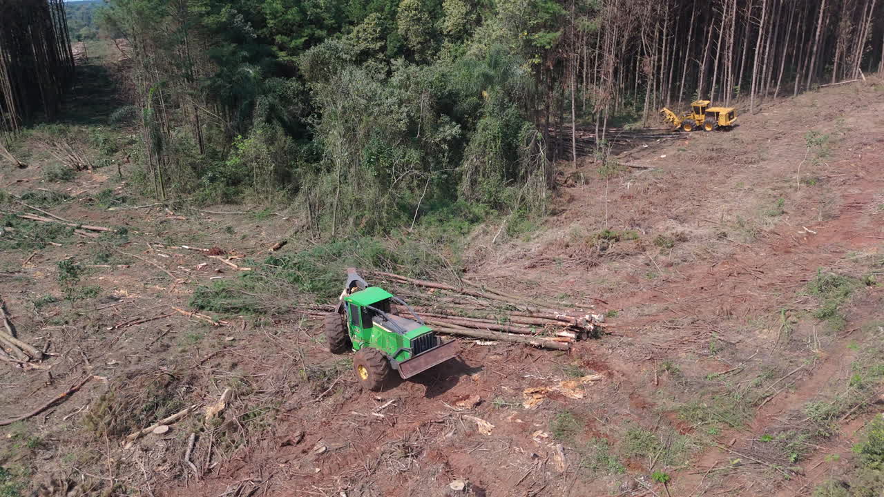 Aerial orbit of harvester cutting trees in deforested area, logging machine clearing forest