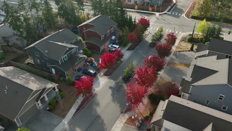 Overhead-aerial-view-of-a-suburban-neighborhood-with-trees-full-of-red-leaves-at-the-entrance