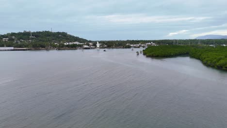 drone footage captures lush mangroves and marina in port douglas, queensland. overcast lighting enhances the tranquil river scenery