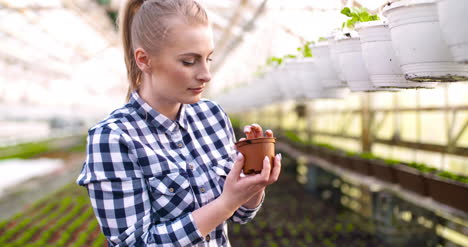 joven botánica examinando una planta en maceta 1