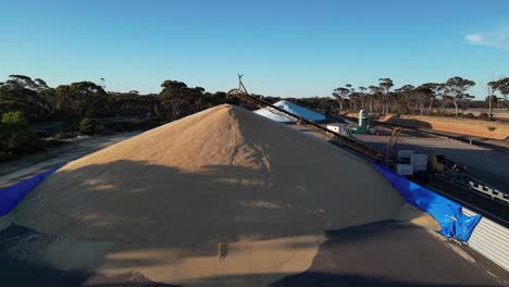 big pile of grain in storage and distribution center, industry in western australia