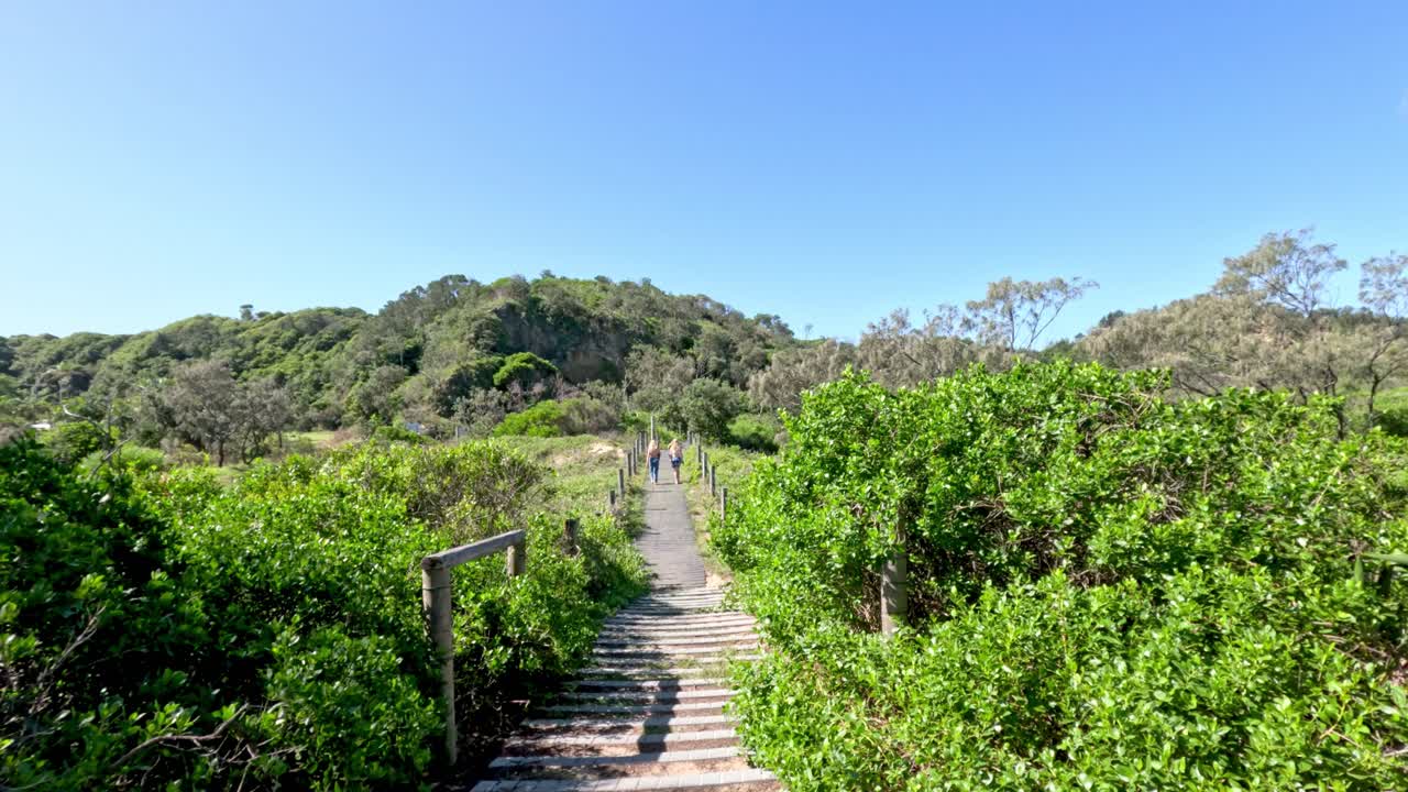 울창 한 초록색 과 언덕 을 가로질러 나무 로 만든 길