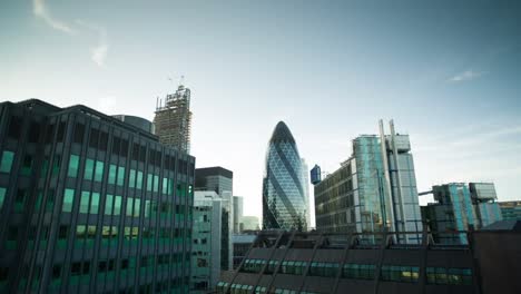 Gherkin-Evening-Raw-00