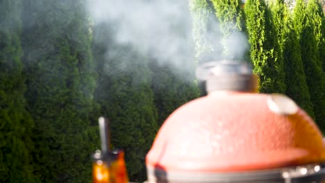 el video muestra imágenes acogedoras de una parrilla caliente y humeante en el verano y la luz del día y el sol está brillando en algunos árboles en el fondo