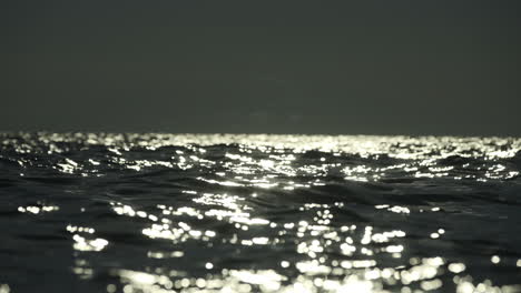 Sunlit Sea Surface