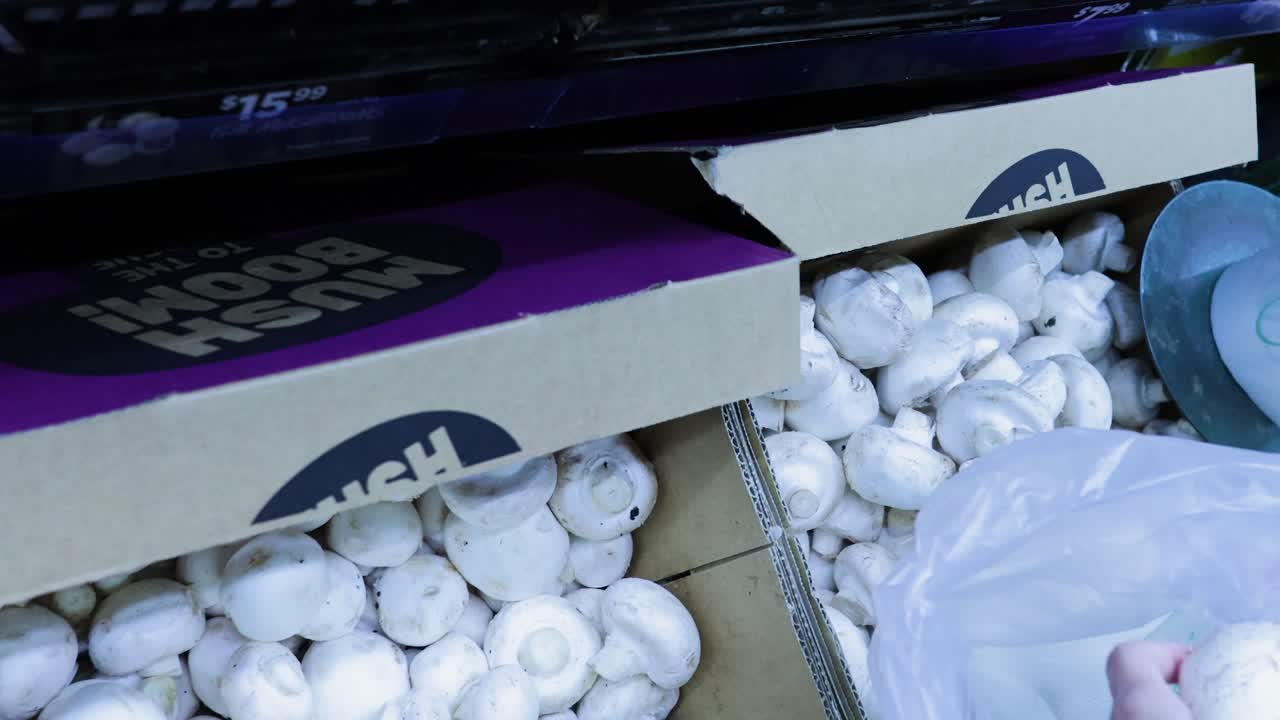 식료품 가게 에서 버섯