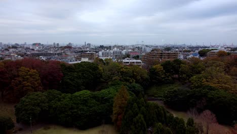 Autumn-colors-blanket-a-cityscape,-from-an-elevated,-wide-angle-perspective