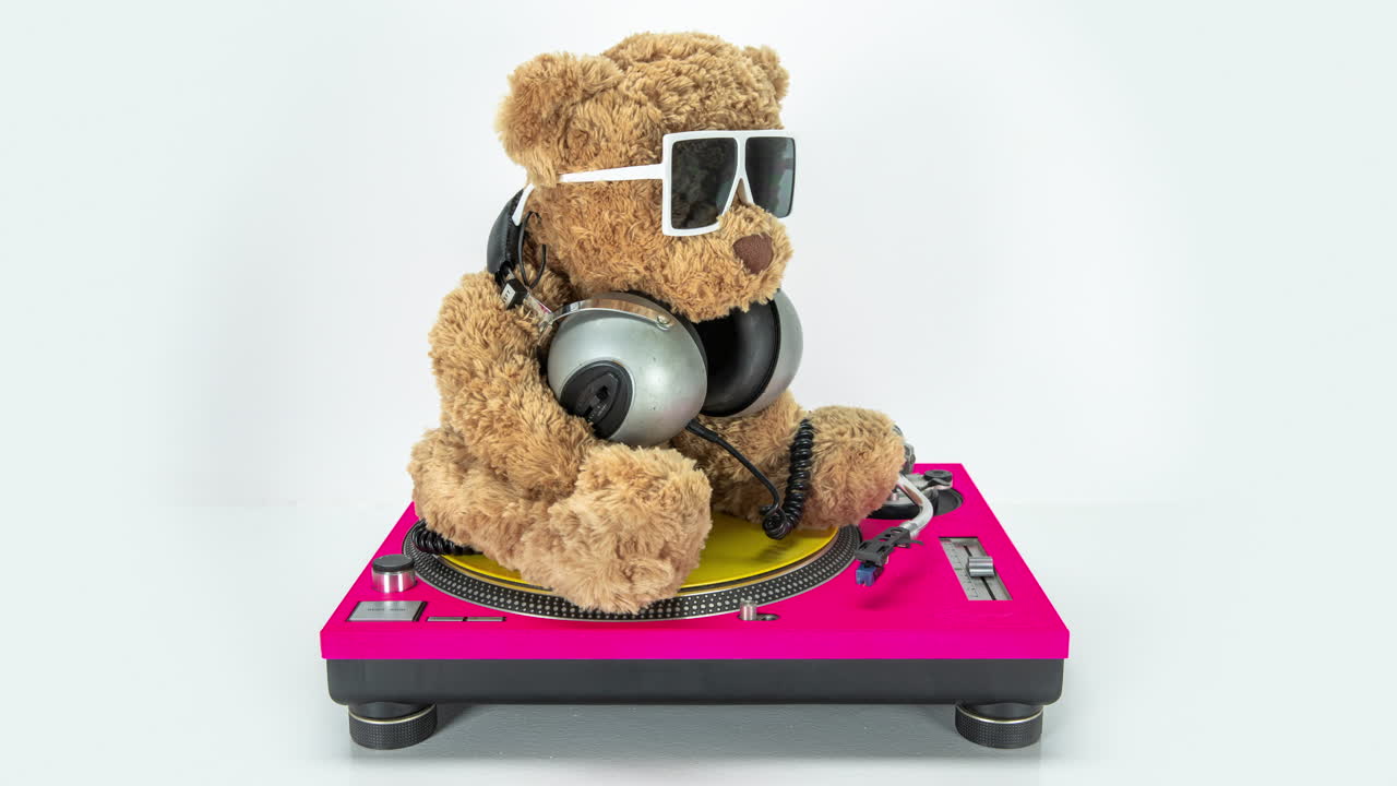 el dj del oso de peluche