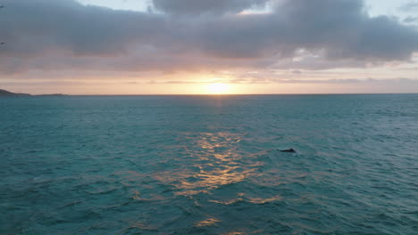 Superficie-De-Agua-De-Mar-Ondulada-Que-Refleja-El-Colorido-Cielo-Del-Atardecer.-Observación-De-Ballenas-En-La-Vida-Silvestre.