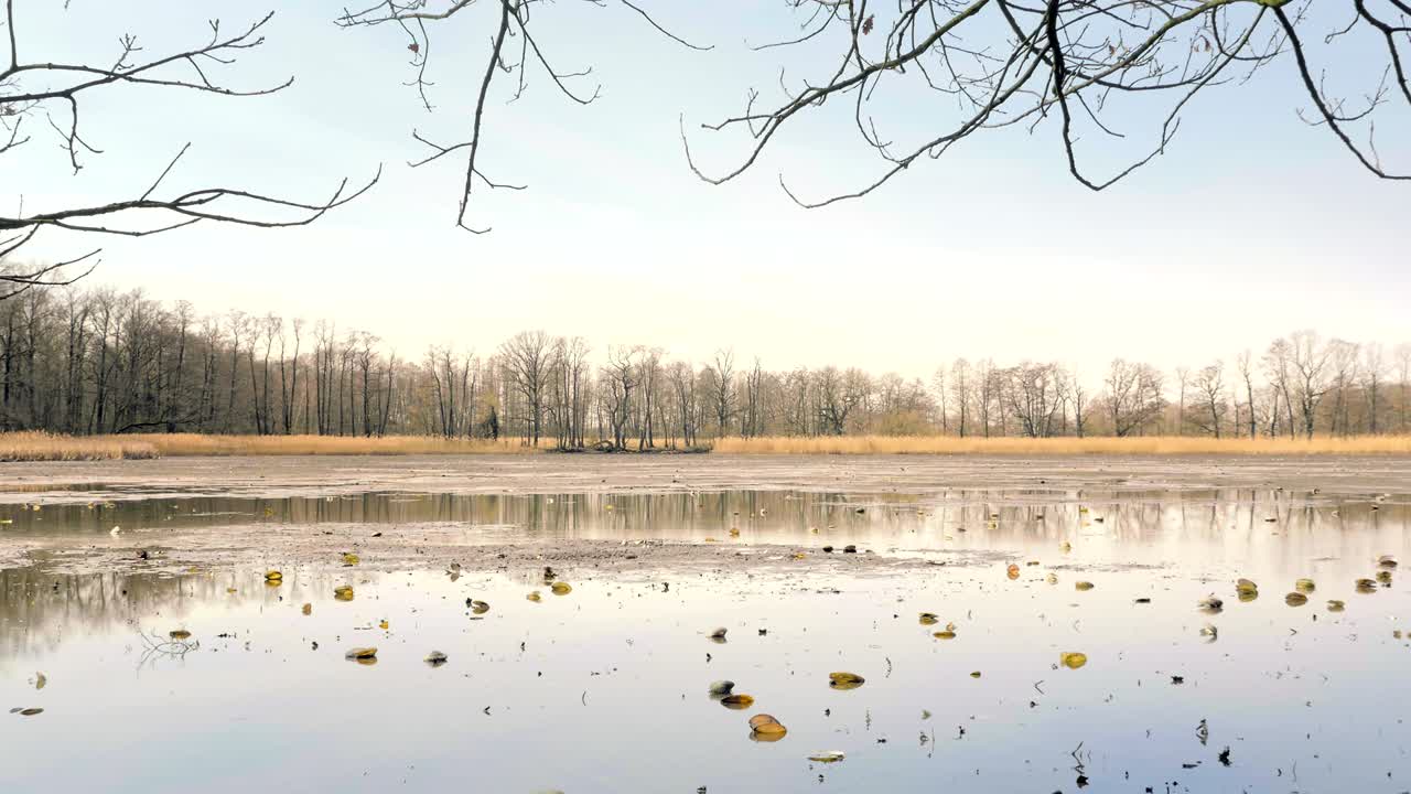 Dropped empty pond without water. Fishing pier in middle.