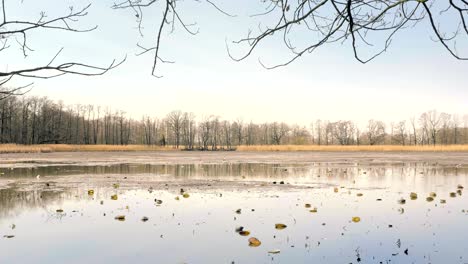 dropped empty pond without water. fishing pier in middle.