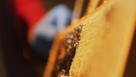 a beekeeper removes wax from honeycomb