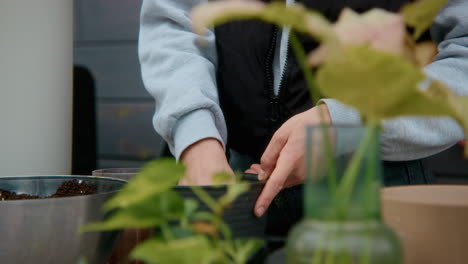 person planting flowers and houseplants