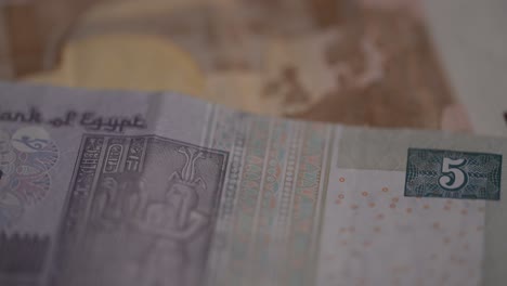 macro of egypt’s currency, the egyptian pound, 5 pound bank note