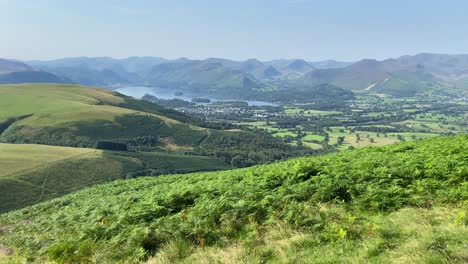 Beautiful-cinematic-shot-nature-and-countryside-in-summer-in-England