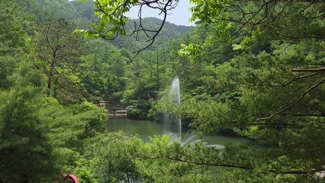 a tranquil pond with a tall water fountain sits nestled among dense green hills and pine trees under a clear sky in maninsan ecological park