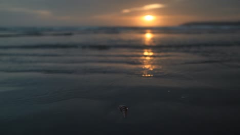 Olas-Tocando-Tranquilamente-La-Orilla-Al-Atardecer-Exponiendo-Una-Concha-Que-Estaba-Enterrada-En-La-Arena