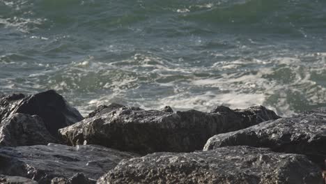 view of waves breaking on reef and rocks 4k uhd