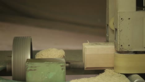 woodworking conveyor in the factory