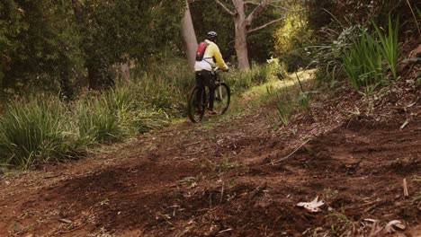 Männlicher-Mountainbiker-Fährt-Im-Wald