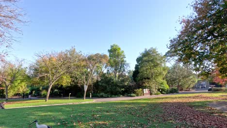 paisaje sereno del zoológico con árboles y vegetación