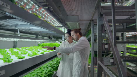 grupo de científicos modernos científico de biotecnología en traje blanco con tableta para trabajar jardín de verduras hidropónicas orgánicas en el invernadero