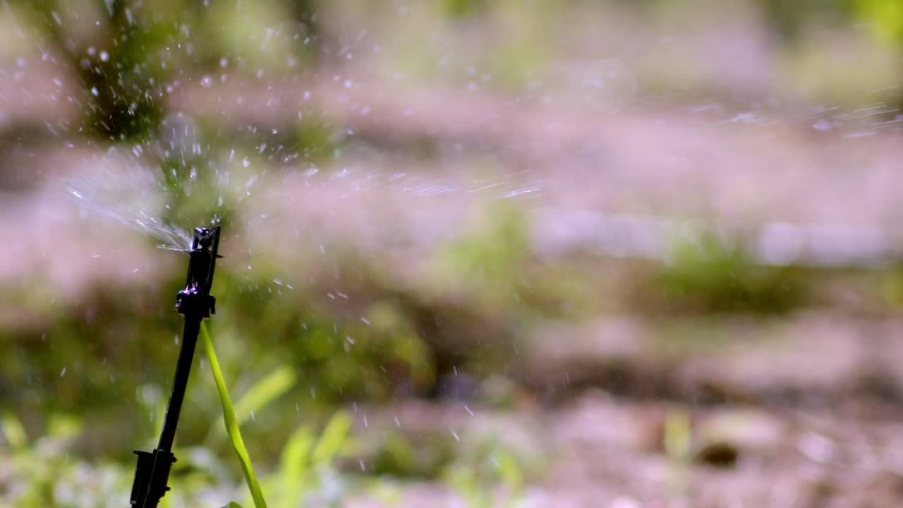 Water spray, plantation vegetation irrigation, rural environment, slow-mo