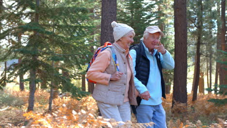 panning shot of senior couple walking on sunlit forest trail