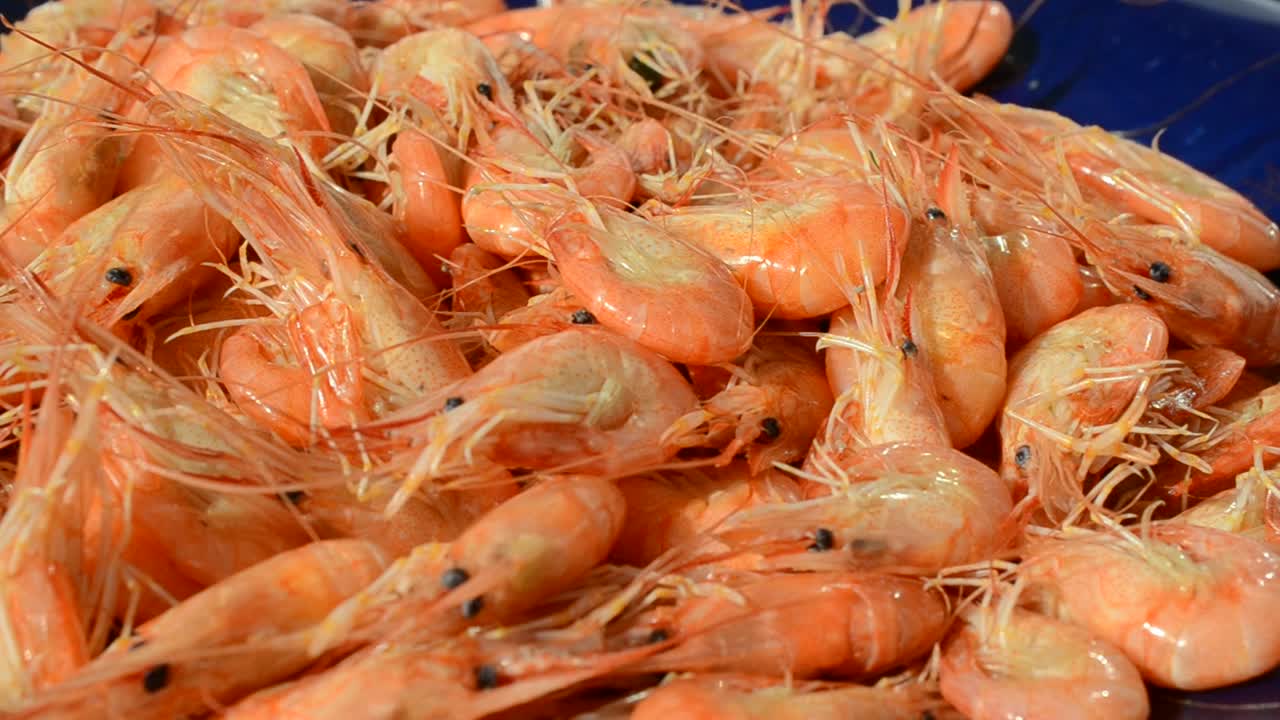 Gamberi bolliti. Frutti di mare su un piatto